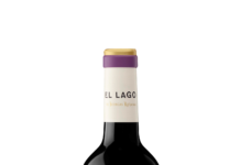 NUEVA PRESENTACIÓN DE EL LAGO