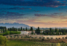 JUVÉ&CAMPS PRESENTA SU OFERTA ENOTURÍSTICA