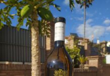 SANAMARO SOBRE LÍAS 2020, D.O. RÍAS BAIXAS