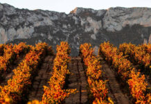 RIOJA REFORZÓ SU POSICIÓN DE MERCADO EN ESPAÑA