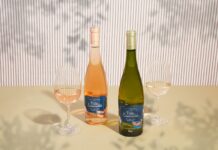 VIÑA ESMERALDA DISTINGUIDA EN LOS PREMIOS GRAVITY WAVE