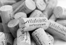 ENTRECANALES DOMECQ E HIJOS COMERCIALIZARÁ LOS VINOS DE VILAFONTÉ