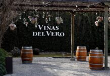 VIÑAS DEL VERO RIESLING 2021, D.O. DOMONTANO