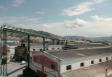 BODEGA COOP. LAS VIRTUDES, D.O. ALICANTE