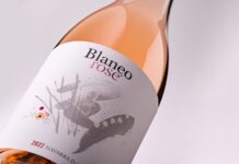 NUEVO BLANEO ROSÉ 2022 DE BOD. PAGOS DE ARAIZ