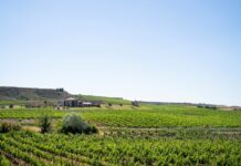 PAGOS DE ARAIZ OBTIENE LA ISO 14001