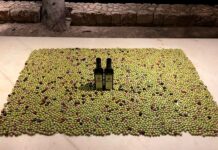 NUEVA AÑADA DE LOS ACEITES AUBOCASSA Y L´AMO