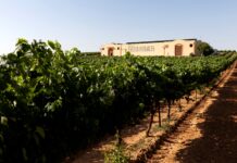 BODEGA VALDELOSFRAILES, D.O. CIGALES