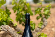 VINOS DE ALGUEÑA PRESENTA 209 ALMAS EN BOTELLA