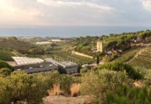 ALTA ALELLA CONSOLIDA SU APUESTA POR EL TERRITORIO