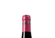 CARA NORD TREPAT 2021