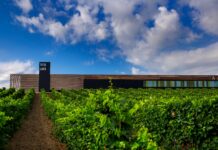 EL MUNDO BLANCO Y ROSADO DE BODEGAS LAUS, D.O. SOMONTANO