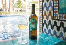 TÍO PEPE FINO EN RAMA 2023