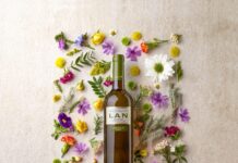 LAN VERDEJO 2022. UN VINO A CUATRO MANOS