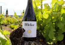 NUEVO MELIOR DE MATARROMERA ALBILLO