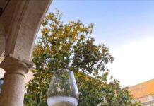 14ª EDICIÓN DE LA NIT DELS XAREL.LO