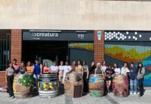 VINO Y ARTE EN BODEGA VALDECUEVA, D.O. RUEDA