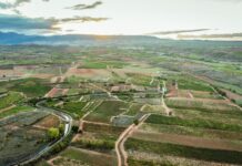 VINTAE COMPRA LA BODEGA CUNA DE REYES