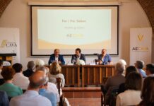 PLAN ESTRATÉGICO TRIANUAL DE LA PATRONAL DEL CAVA