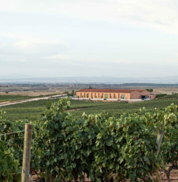 DOMINIO BASCONCILLO, D.O. RIBERA DEL DUERO
