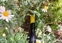 NUEVA AÑADA EL PARAGUAS ATLÁNTICO 2022, D.O. RIBEIRO