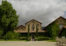 BODEGAS ENTRECANALES DOMECQ E HIJOS SE ALIA CON IKUSI