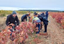 ABIERTA LA INSCRIPCIÓN DE “FORMADOR OFICIAL EN VINOS DE RIOJA”