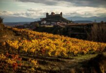 RIOJA CIERRA 2022 REAFIRMANDO SU LIDERAZGO NACIONAL