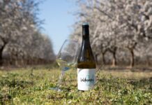 BODEGA VALDECUEVAS PRESENTA 724 VIOGNIER