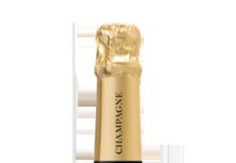 BERNARD REMY BRUT PRESTIGE