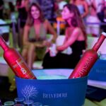 Moët Hennessy Ushuaia_Belvedere_ (002)