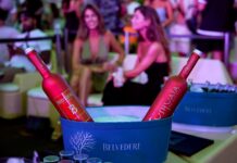 NUEVA BOTELLA BELVEDERE USHUAÏA LIMITED EDITION