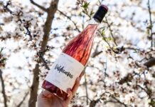 VALDECUEVAS ROSÉ 2022, EQUILIBRIO ENTRE FRESCURA Y MADUREZ