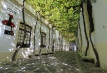 BODEGAS TIO PEPE ENTRE LOS MEJORES DESTINOS ENOTURÍSTICOS DEL MUNDO