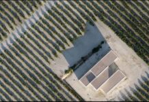 LAS DOPs DE CÓRDOBA, MÁLAGA Y HUELVA ZONIFICAN Y PONEN EN VALOR SUS PAGOS VINÍCOLAS