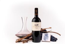 PROYECTO VINEBOX EN BODEGA MATARROMERA