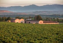 NUEVOS “VIÑEDOS SINGULARES” EN RIOJA