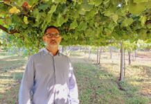 NUEVO PRESIDENTE DE LA ASOCIACIÓN RUTA DO VIÑO RÍAS BAIXAS