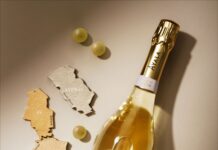 AYALA PRESENTA Nº 16 BLANC DE BLANCS