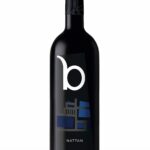 BUEZO NATTAN (002)