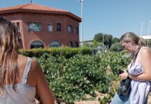 GRAN FIESTA DE LA VENDIMIA EN LAS VIÑAS DE CANALS&MUNNÉ