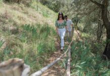 “TREKKING VIÑAS DE VIDA” EN VIÑAS DEL VERO