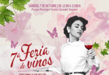 FERIA DE LOS VINOS DOP JUMILLA EN HELLÍN