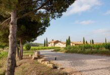 MURUA OBTIENE EL CERTIFICADO WINERIES FOR CLIMATE PROTECTION