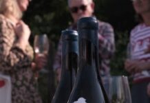 ASTILLERO 2021, D.O. RIBEIRO VINO REVELACIÓN