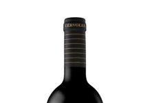 CÉRVOLES NEGRE. ICONO DEL PRIMER PROYECTO DE VITICULTURA DE MONTAÑA