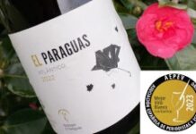 EL PARAGUAS ATLÁNTICO 2022 MEJOR VINO BLANCO ESPAÑOL SEGÚN LA AEPEV