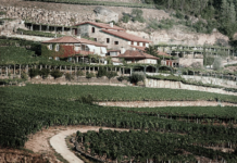 BODEGAS JOSÉ PARIENTE APUESTA POR LA D.O. RIBEIRO