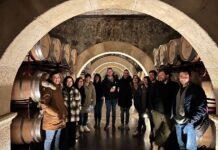 SUMILLERES ESPAÑOLES VISITAN LA D.O. JUMILLA