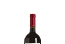 ALMA 2021 RIQUEZA Y SINGULARIDAD DE SAN VICENTE DE LA SONSIERRA